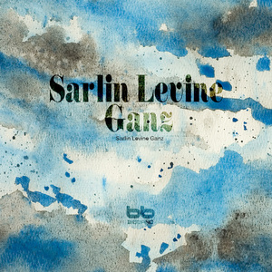 Meshuga on the Mountain