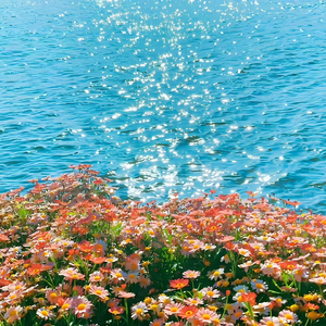 如愿（钢琴曲）