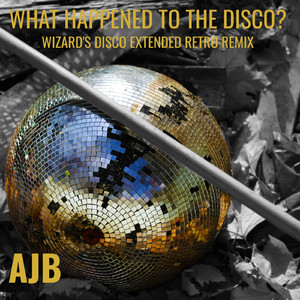 What Happened To The Disco? (Wizard's Disco Extended Retro Remix)
