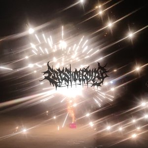 夏日终曲 P.discent