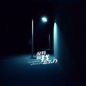 没有你我怎么办