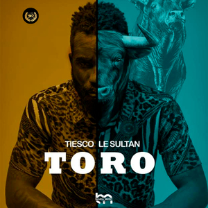 Toro