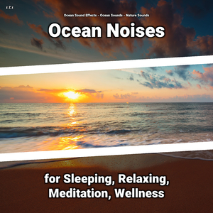 Splendid Ocean Sounds Background Sound Effect