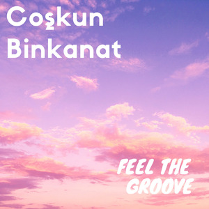Feel The Groove