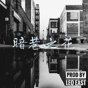 【free】“暗巷之花” boom bap/old school type beat