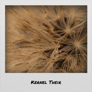 Kernel Their