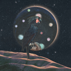 you, me and stardust