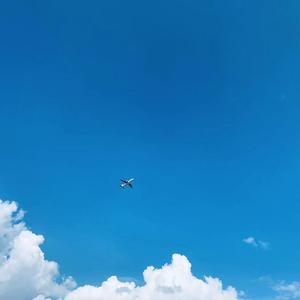 一个歌手的情书