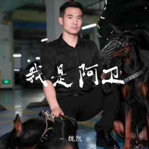 我是阿卫