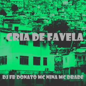 Cria de Favela