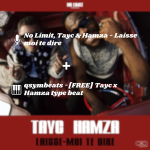Laisse Moi Te Dire (Remix)