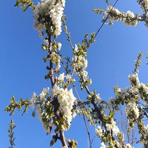 Одиночество