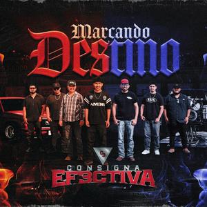 Marcando Destino