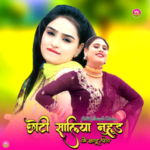 छोटी सालिया नुहूड के झाडू दिय