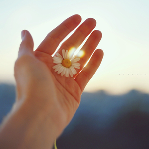 깊은 밤을 날아서