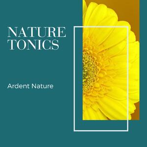 Foamy White Ocean Waves