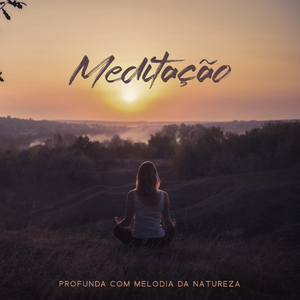 Melodia curativa de (Pássaros)