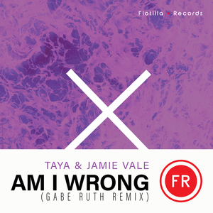 Am I Wrong (Gabe Ruth Remix Radio Edit)