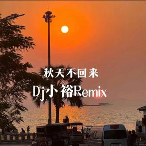 秋天不回来（Dj小裕Remix））