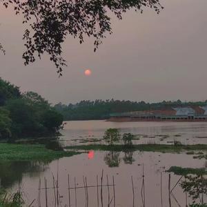 二次元刀哥と精神小妹