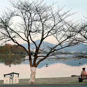 久经雨季