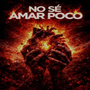 DEMASIADO CORAZÓN