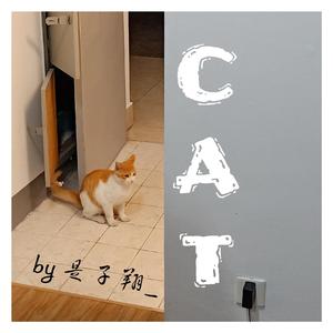 CAT（demo）