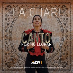 Canto, por no llorar (feat. La Chari & Fermin de la Quebrá)