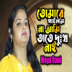 তোমারে পেলাম না আমি তাতে দুঃখ নাই