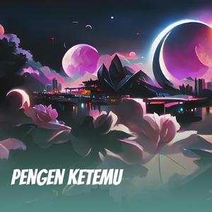 Pengen ketemu (Remastered 2024)