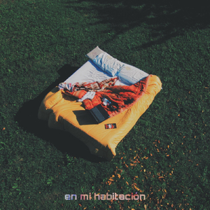 En Mi Habitación