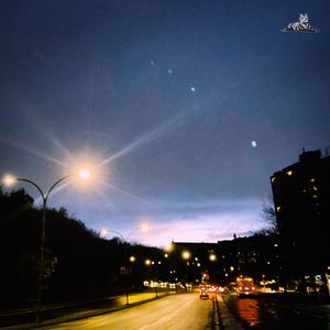 No Thanks I'm Just Networking Tonight