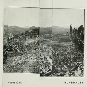 Resonancia de las Aves del Valle