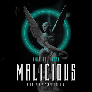 Malicious (feat. Zarif Crazy Grizzly)