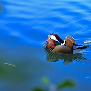 刻在心底的沟壑