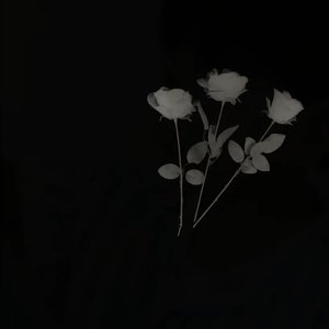 谁(治愈版)（翻自 赵乃吉）