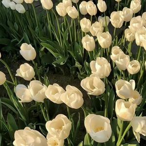 我醒的时候不太困