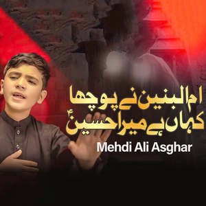 UMMUL BANEEN NAI POUCHA KAHAN HAI MERA HUSSAIN
