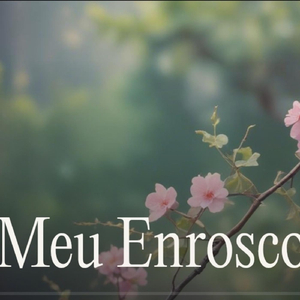 Meu Enrosco