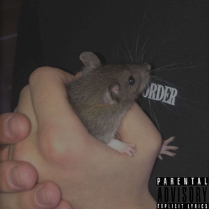 В моём доме