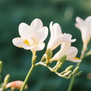 下辈子我们都要对自己好一点