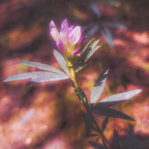 Thedatenumberwastooscary