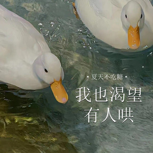 我也渴望有人哄