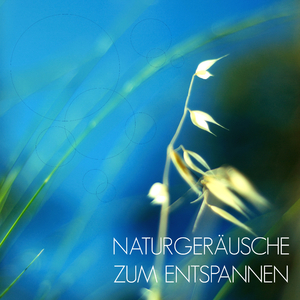 Wassergeräusche zur Riduzierung von Tinnitusgeräuschen