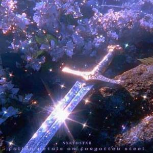 Fallen Petals on Forgotten Steel