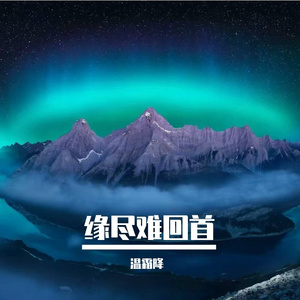 空庭落残花