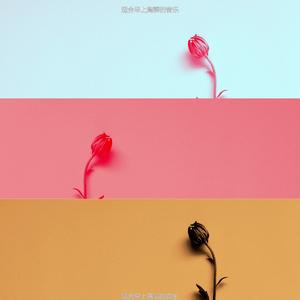 适合早上开心的音乐