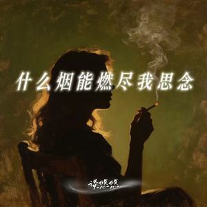 什么烟能燃尽我思念