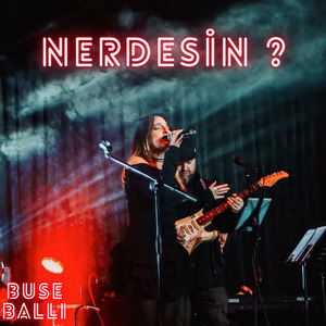 Nerdesin ?