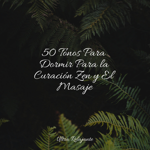 Melodía De Goteo Tranquilo